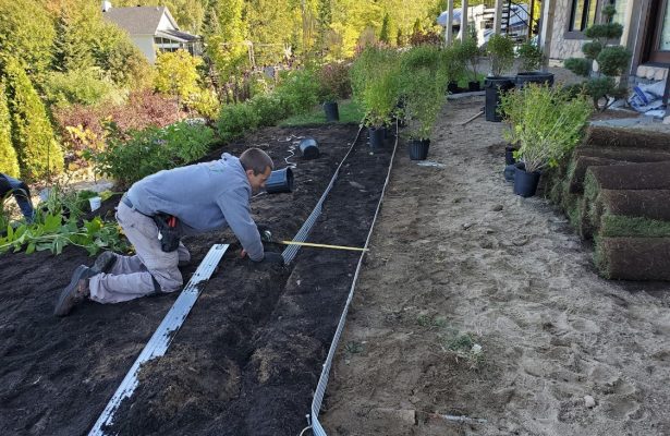 Projet plantation et amélioration